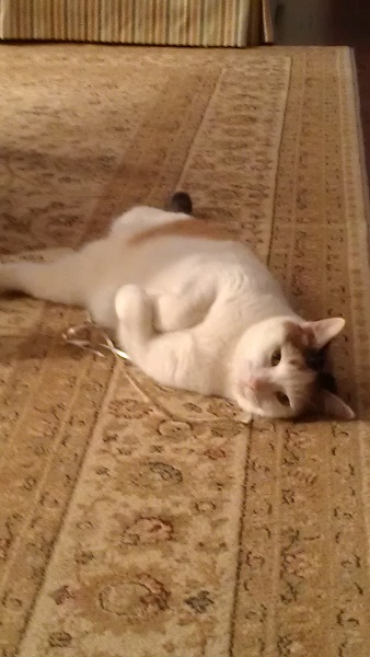 Hazel!