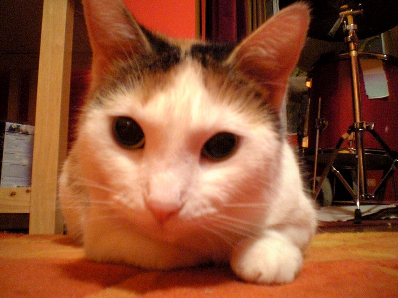 Hazel!
